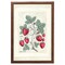 12" x 16" Sweet Summer Strawberries I Framed Wall Art, Contemporary Kitchen Home Décor, Glass Facing and Hanging Hardware Included